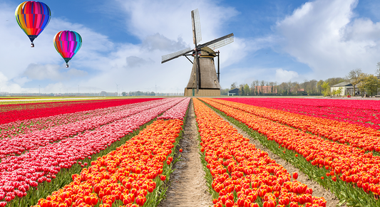 Keukenhof Gardens