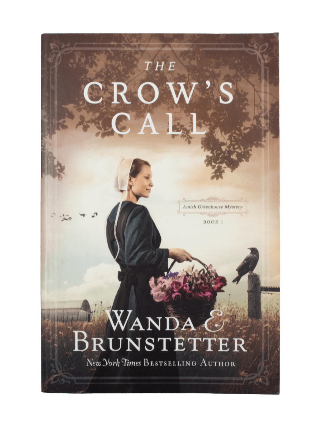 The Crow's Call - Wanda Brunstetter