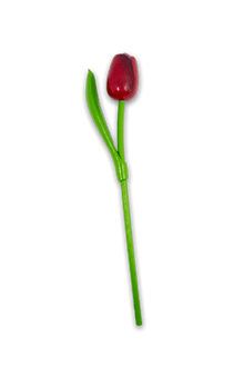 Wooden Tulip Red/Purple