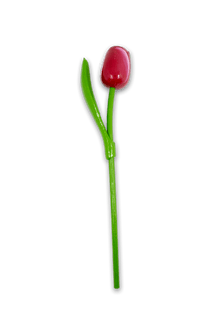 Wooden Tulip Red/White