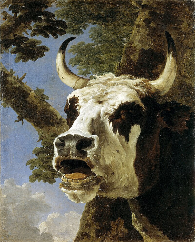 A paiting of a Blaarkop bull.