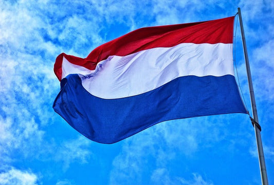 A Brief History of Speaking Dutch