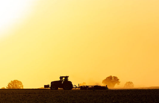 Dutch-Canadian Farming