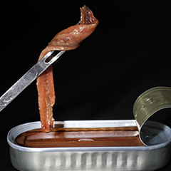 Canned & Dried Fish
