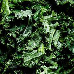 Kale, Cabbage & Spinach