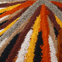 Indonesian Spices