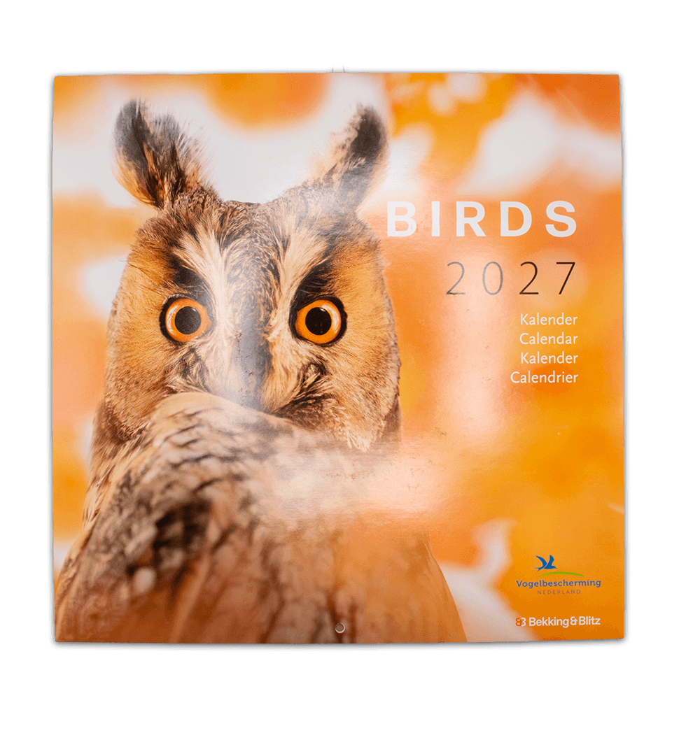 2027 Calendar