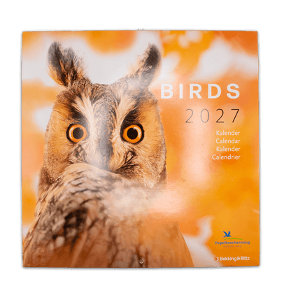 2027 Calendar