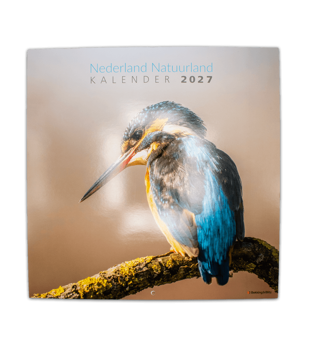 2027 Calendar