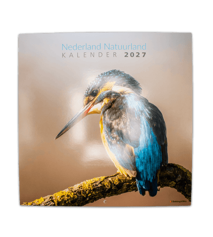 2027 Calendar
