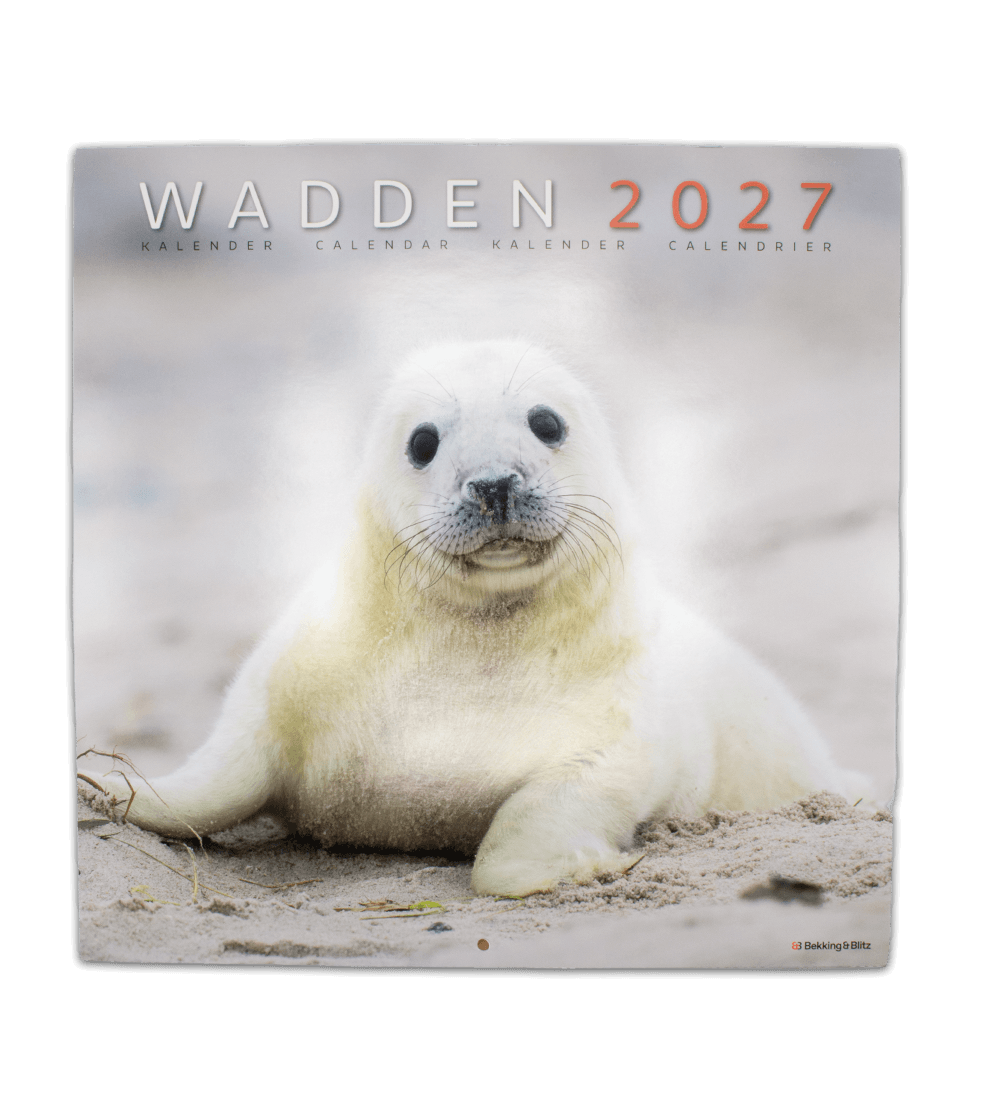 2027 Calendar