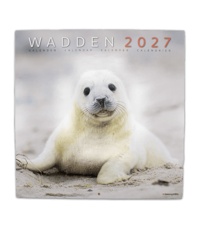 2027 Calendar