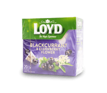 Loyd Blackcurrant Elderberry Tea 40g