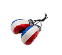Mini Boxing Gloves Pair - Netherlands Flag
