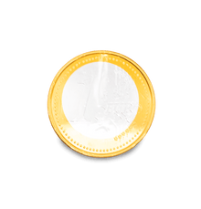 Neutraal Chocolate Euro Coin 50g