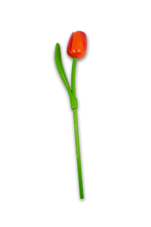 Wooden Tulip Orange/Red