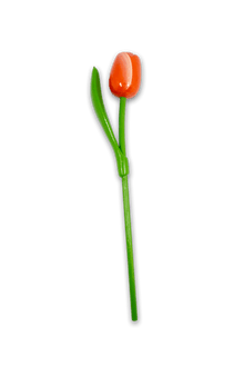 Wooden Tulip Orange/White