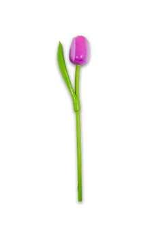 Wooden Tulip Pink/Purple