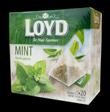 Loyd Mint Tea